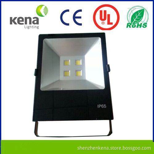 Hot 2014 New COB 200W LED Flood Light with 5 Years Warranty